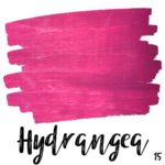Hydrangea $0.00
