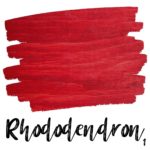 Rhododendron $0.00