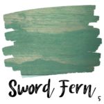 Sword Fern $0.00